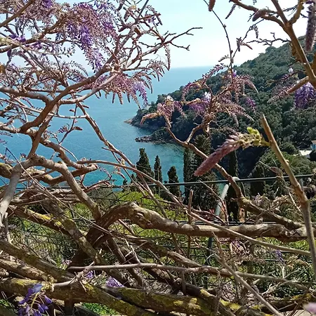 Casa Bella 'mbriana Lägenhet