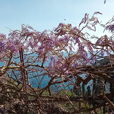 Casa Bella 'mbriana * 里约滨海
